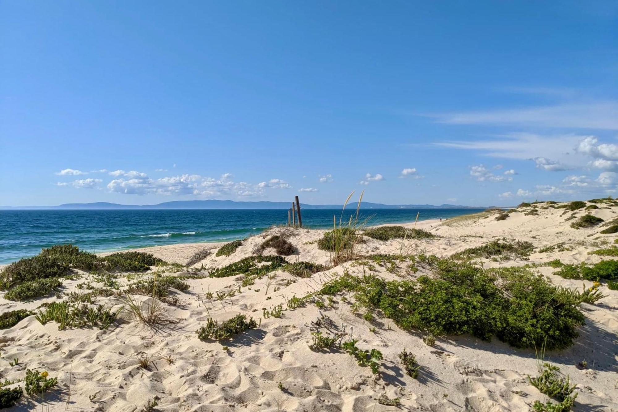 Sesmarias Dos Nobres Villa Azinheira dos Barros Exteriör bild