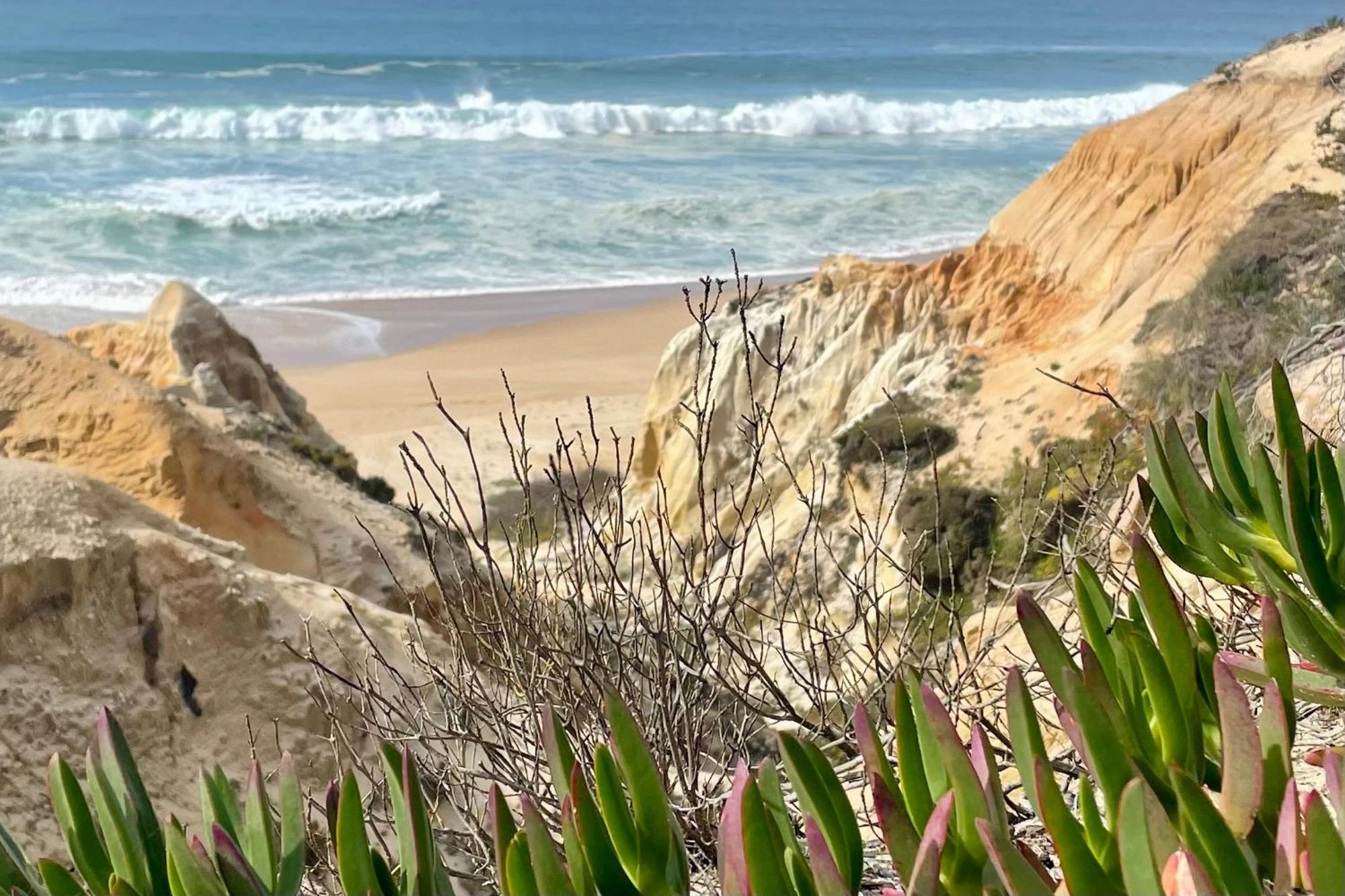 Sesmarias Dos Nobres Villa Azinheira dos Barros Exteriör bild