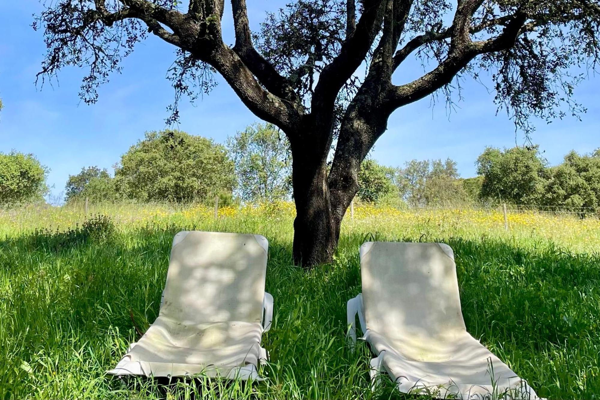 Sesmarias Dos Nobres Villa Azinheira dos Barros Exteriör bild