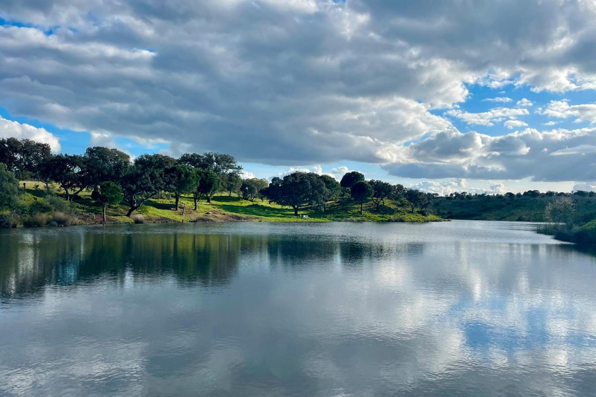Sesmarias Dos Nobres Villa Azinheira dos Barros Exteriör bild