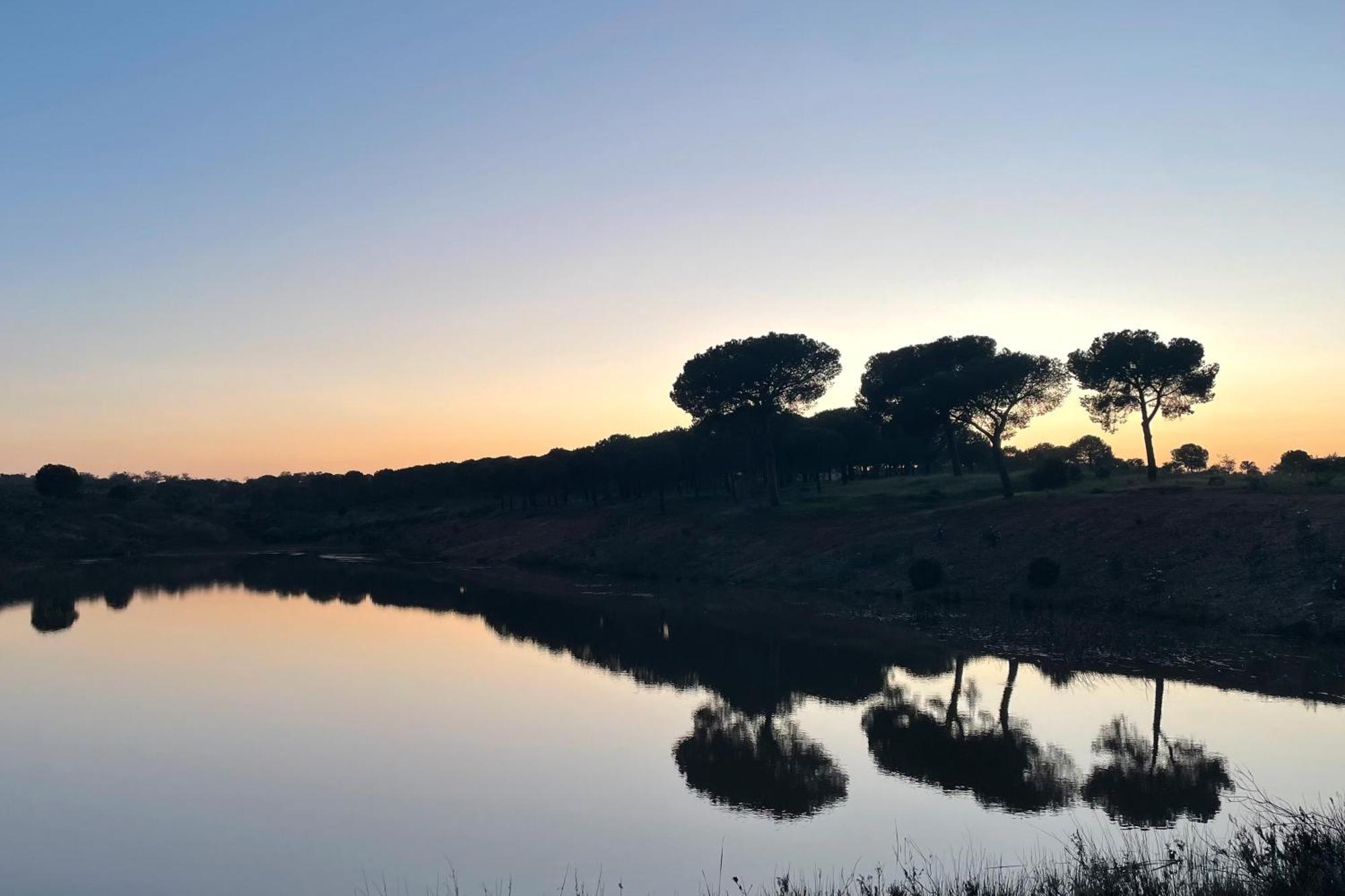 Sesmarias Dos Nobres Villa Azinheira dos Barros Exteriör bild